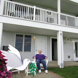 Meet your Posher, Sue